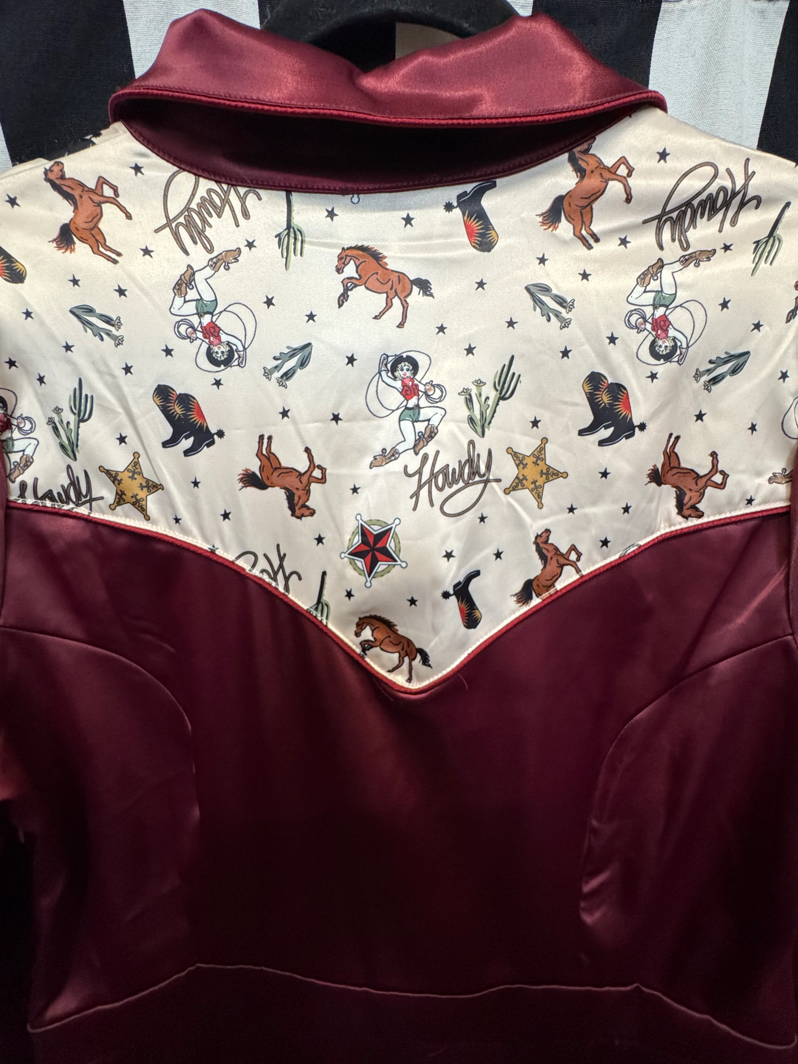 Gently Used UV Western Dress - Image 11