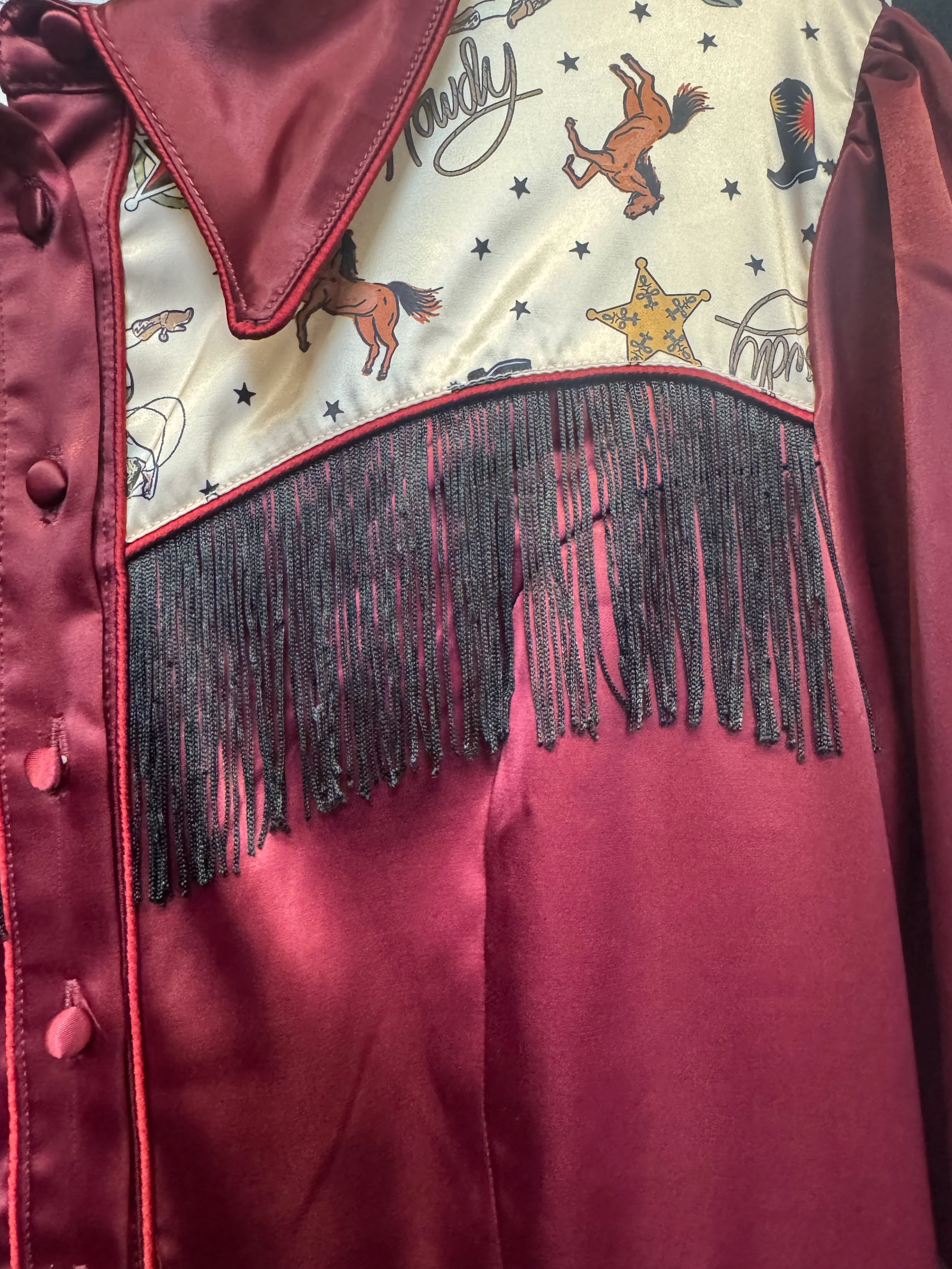 Gently Used UV Western Dress - Image 5